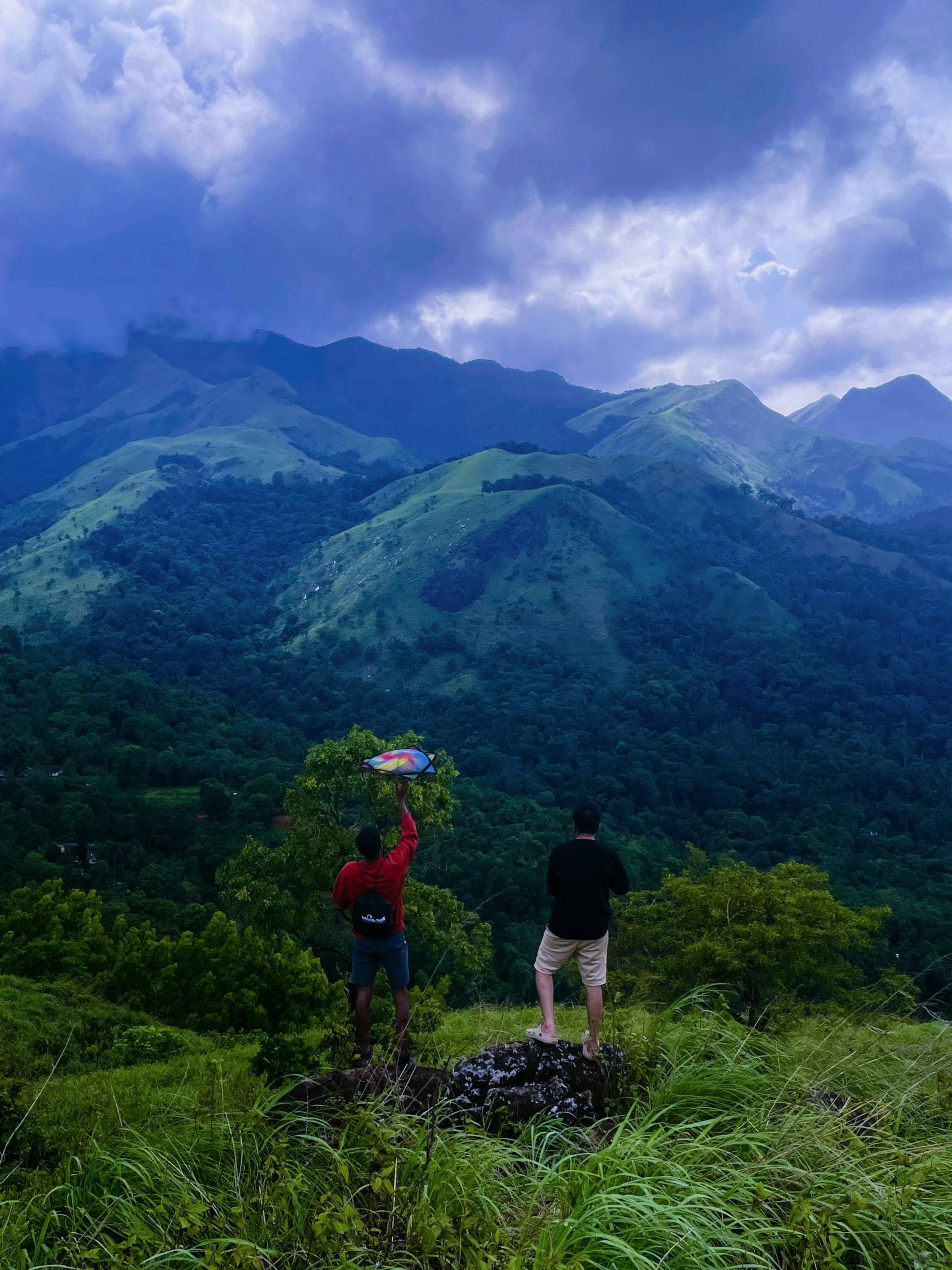 Forest Trekking