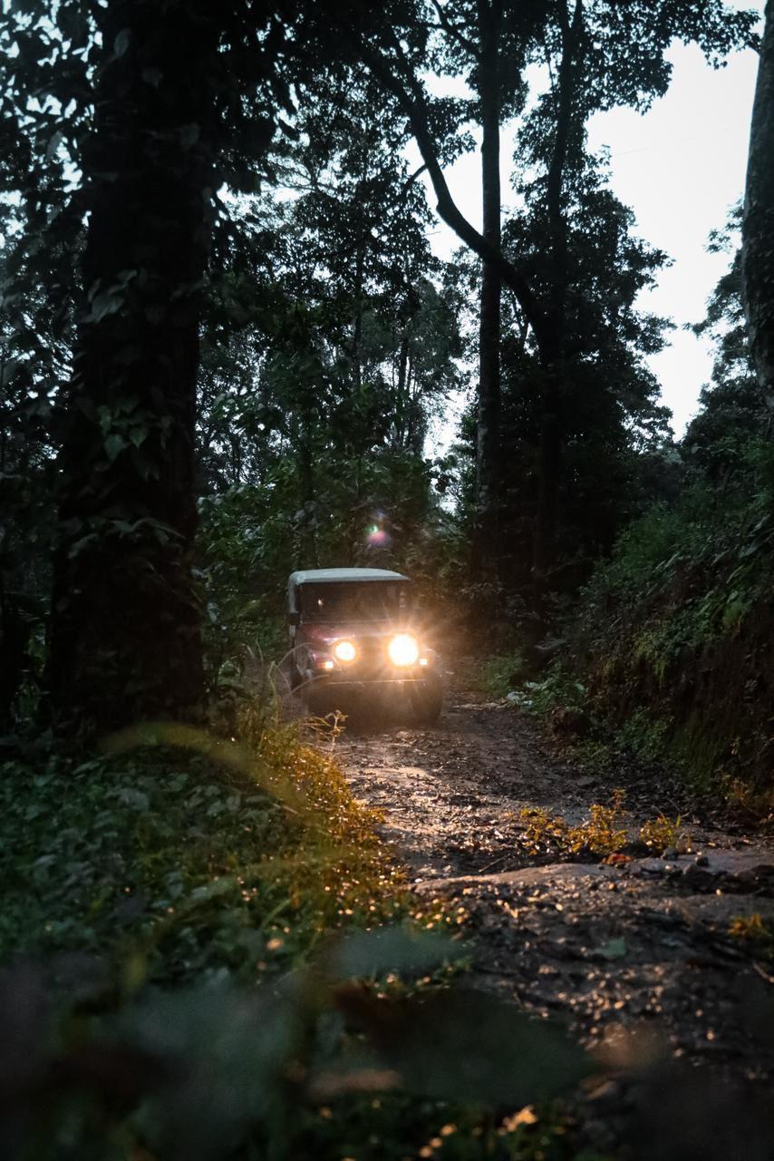 Off-road Safari