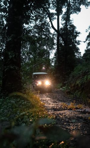 Off-road Jeep Safari