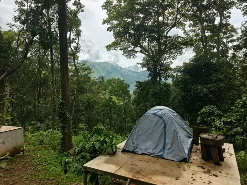 900 Kandi Forest Tent Stay