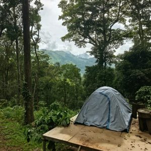 900 Kandi Forest Tent Stay