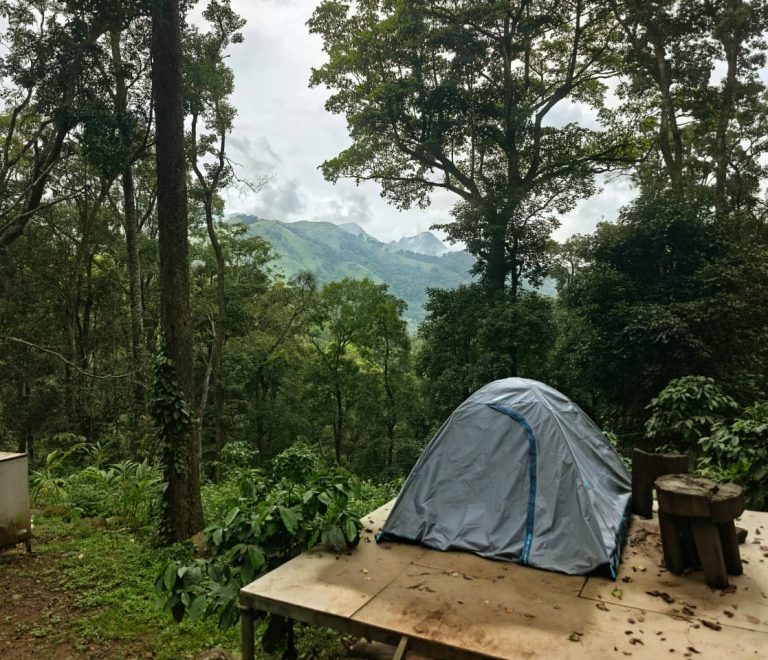 900 Kandi Forest Tent Stay