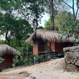 Forest View Cottage