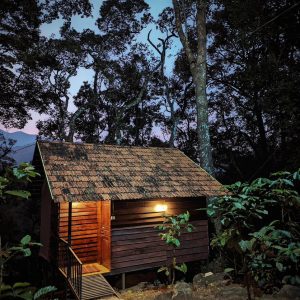 Mountain View Cabin