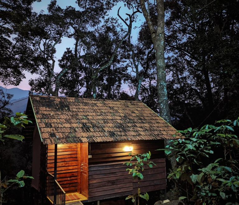 Cabin Room