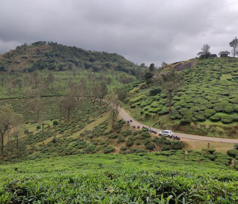 Best time to visit Wayanad