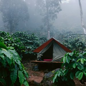 Family Alpine Tent