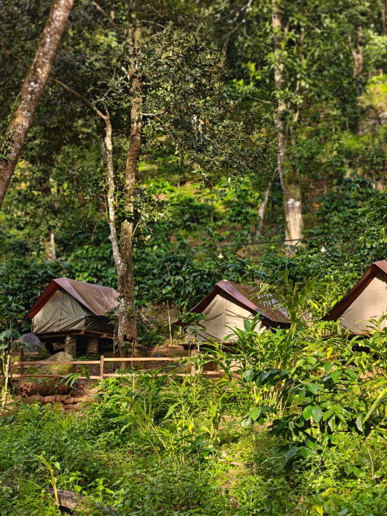 Family Tent Stay in 900 Kandi Forest