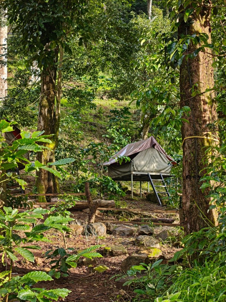 Tent Stay in Wayanad