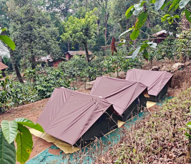 Family Alpine Tent Stay in Wayanad 900 Kandi