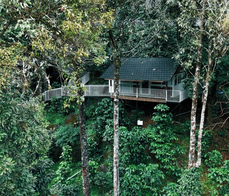 Top 5 Jungle Resorts in Wayanad 900 Kandi