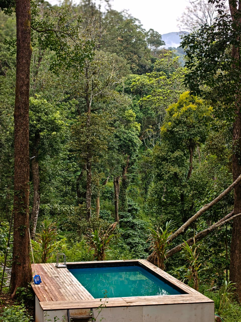 Forest Pool Resort 